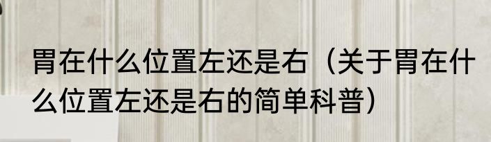 胃在什么位置左还是右（关于胃在什么位置左还是右的简单科普）
