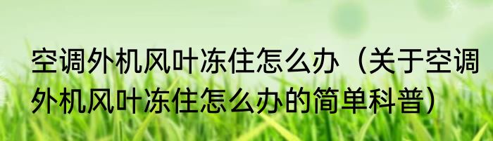 空调外机风叶冻住怎么办（关于空调外机风叶冻住怎么办的简单科普）