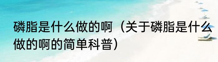 磷脂是什么做的啊（关于磷脂是什么做的啊的简单科普）