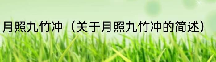 篮球拉杆是什么意思（关于篮球拉杆是什么意思的简单科普）