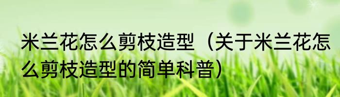 米兰花怎么剪枝造型（关于米兰花怎么剪枝造型的简单科普）