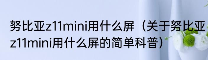 努比亚z11mini用什么屏（关于努比亚z11mini用什么屏的简单科普）