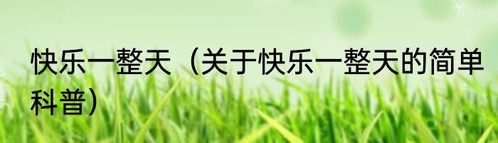 快乐一整天（关于快乐一整天的简单科普）