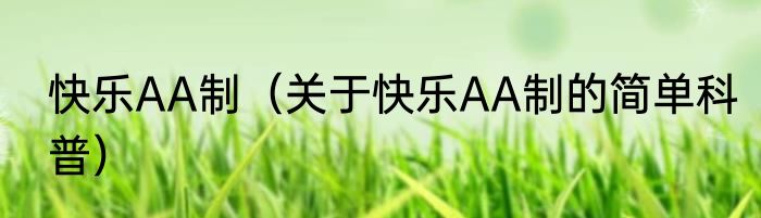 快乐AA制（关于快乐AA制的简单科普）