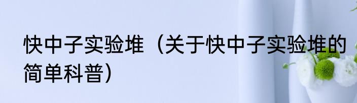 快中子实验堆（关于快中子实验堆的简单科普）