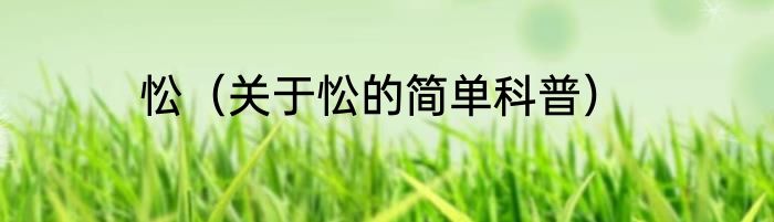 忪（关于忪的简单科普）