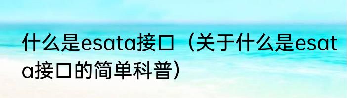 什么是esata接口（关于什么是esata接口的简单科普）