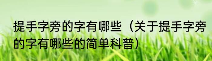 提手字旁的字有哪些（关于提手字旁的字有哪些的简单科普）