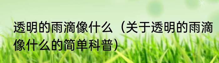 透明的雨滴像什么（关于透明的雨滴像什么的简单科普）