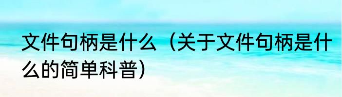 文件句柄是什么（关于文件句柄是什么的简单科普）