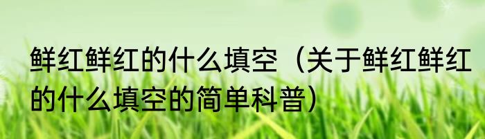 鲜红鲜红的什么填空（关于鲜红鲜红的什么填空的简单科普）