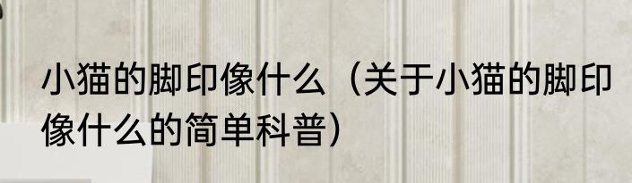 小猫的脚印像什么（关于小猫的脚印像什么的简单科普）