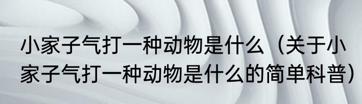 小家子气打一种动物是什么（关于小家子气打一种动物是什么的简单科普）