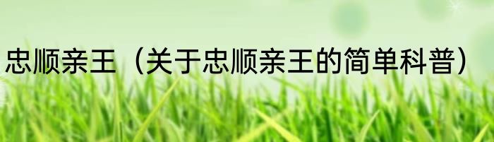 忠顺亲王（关于忠顺亲王的简单科普）