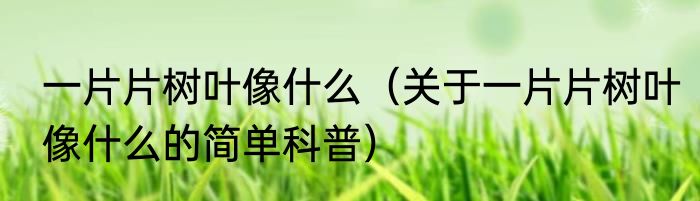 一般人一天喝多少咖啡才合适（关于一般人一天喝多少咖啡才合适的简单科普）