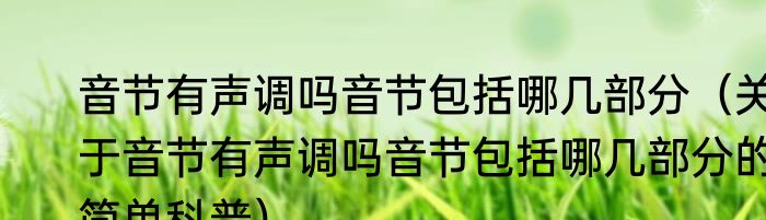 音节有声调吗音节包括哪几部分（关于音节有声调吗音节包括哪几部分的简单科普）