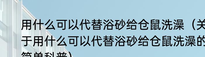 用什么可以代替浴砂给仓鼠洗澡（关于用什么可以代替浴砂给仓鼠洗澡的简单科普）
