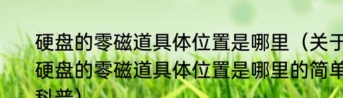 硬盘的零磁道具体位置是哪里（关于硬盘的零磁道具体位置是哪里的简单科普）