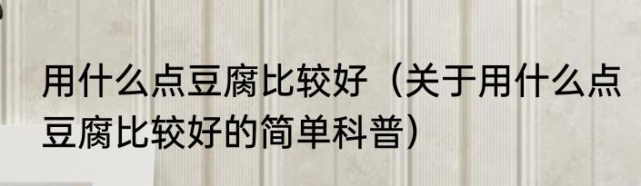 用什么点豆腐比较好（关于用什么点豆腐比较好的简单科普）