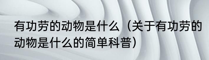 有功劳的动物是什么（关于有功劳的动物是什么的简单科普）