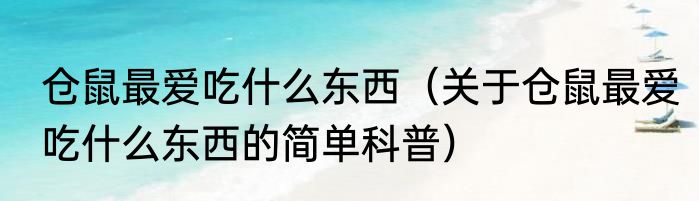 仓鼠最爱吃什么东西（关于仓鼠最爱吃什么东西的简单科普）