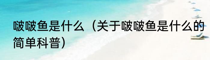 啵啵鱼是什么（关于啵啵鱼是什么的简单科普）