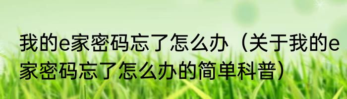 我的e家密码忘了怎么办（关于我的e家密码忘了怎么办的简单科普）