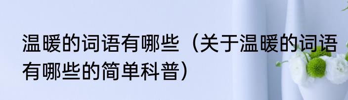 温暖的词语有哪些（关于温暖的词语有哪些的简单科普）