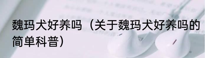 魏玛犬好养吗（关于魏玛犬好养吗的简单科普）