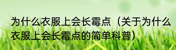 为什么衣服上会长霉点（关于为什么衣服上会长霉点的简单科普）