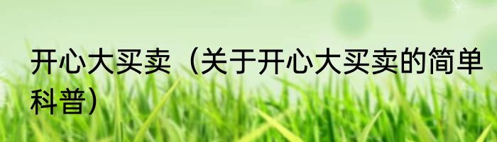 开心大买卖（关于开心大买卖的简单科普）