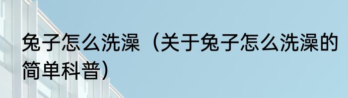 兔子怎么洗澡（关于兔子怎么洗澡的简单科普）
