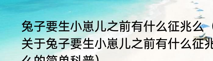 兔子要生小崽儿之前有什么征兆么（关于兔子要生小崽儿之前有什么征兆么的简单科普）