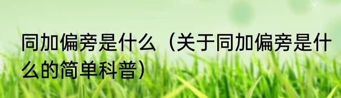 同加偏旁是什么（关于同加偏旁是什么的简单科普）