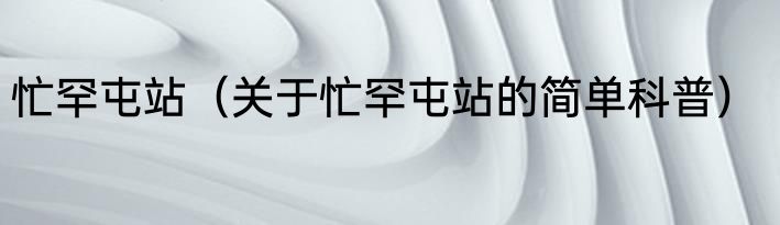 忙罕屯站（关于忙罕屯站的简单科普）
