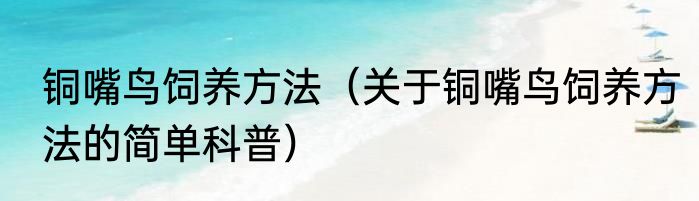 铜嘴鸟饲养方法（关于铜嘴鸟饲养方法的简单科普）
