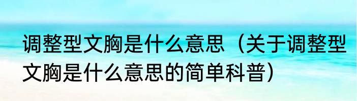 调整型文胸是什么意思（关于调整型文胸是什么意思的简单科普）