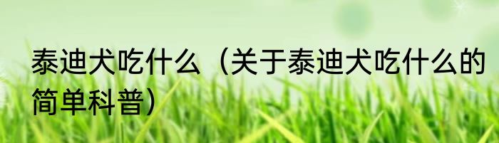 泰迪犬吃什么（关于泰迪犬吃什么的简单科普）