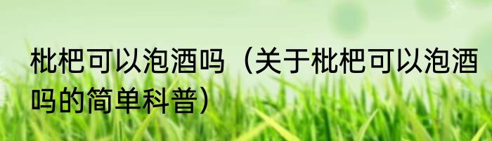 枇杷可以泡酒吗（关于枇杷可以泡酒吗的简单科普）