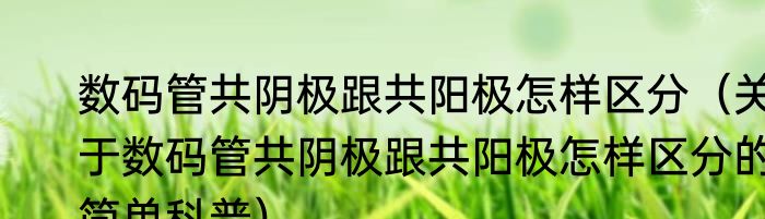 数码管共阴极跟共阳极怎样区分（关于数码管共阴极跟共阳极怎样区分的简单科普）