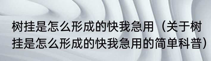 树挂是怎么形成的快我急用（关于树挂是怎么形成的快我急用的简单科普）