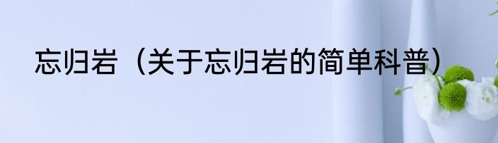 忘归岩（关于忘归岩的简单科普）