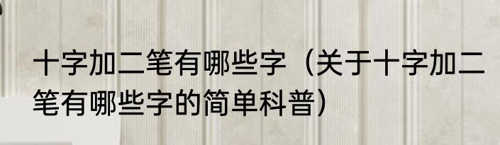 十字加二笔有哪些字（关于十字加二笔有哪些字的简单科普）