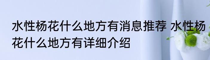 水性杨花什么地方有消息推荐 水性杨花什么地方有详细介绍