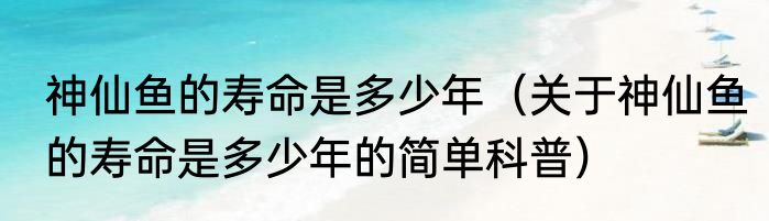神仙鱼的寿命是多少年（关于神仙鱼的寿命是多少年的简单科普）
