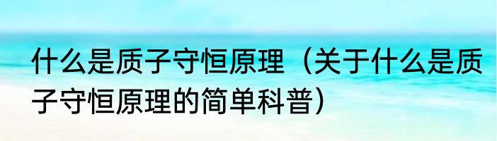 什么是质子守恒原理（关于什么是质子守恒原理的简单科普）