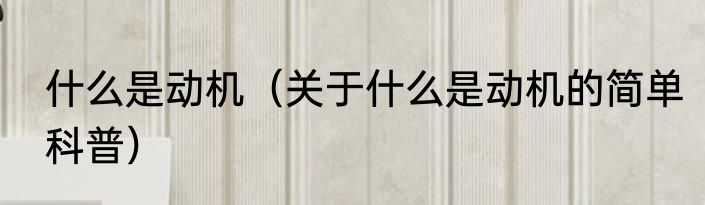 什么是动机（关于什么是动机的简单科普）