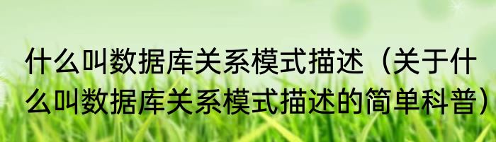 什么叫数据库关系模式描述（关于什么叫数据库关系模式描述的简单科普）