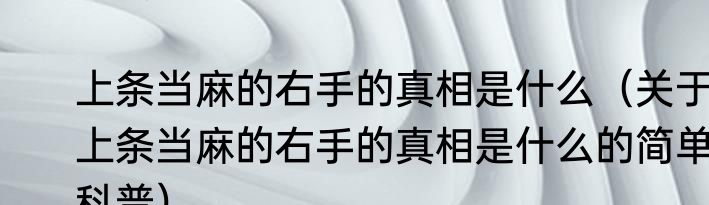 上条当麻的右手的真相是什么（关于上条当麻的右手的真相是什么的简单科普）