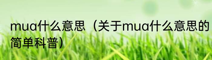 mua什么意思（关于mua什么意思的简单科普）